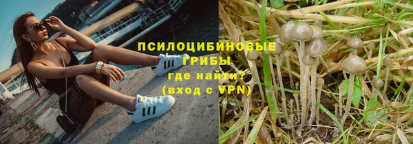 хмурый Ладушкин
