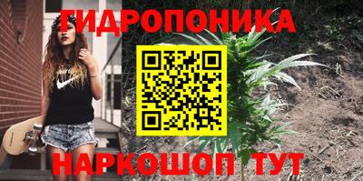ГАЛЛЮЦИНОГЕННЫЕ ГРИБЫ Добрянка