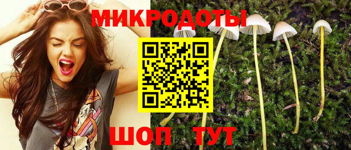 Псилоцибиновые грибы Psilocybe Якутск