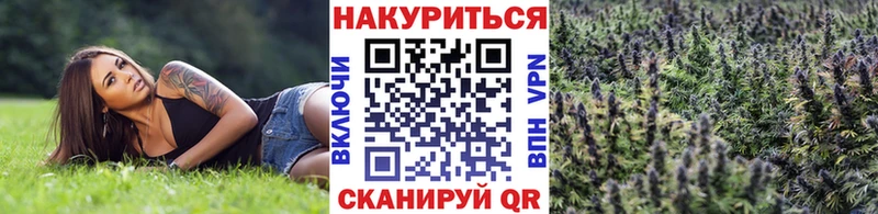 наркотики  Якутск  Бошки Шишки семена 